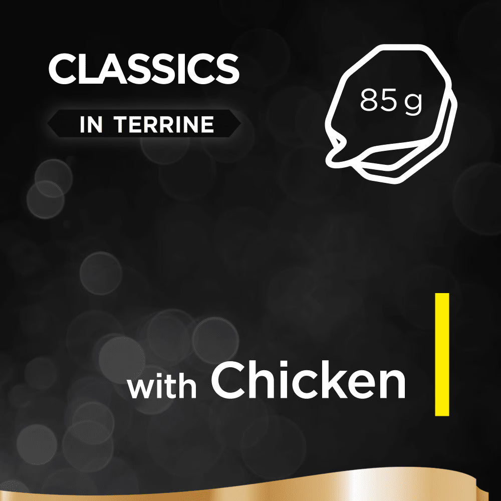 Sheba Classics in Terrine with Chicken 85g